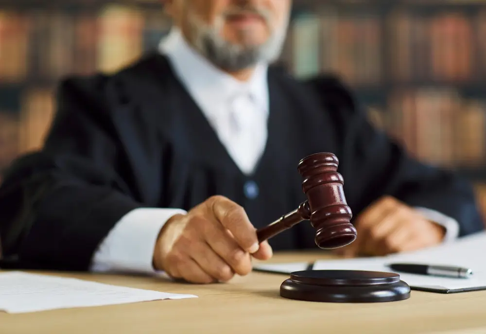 Why Does an Appeal Take So Long?